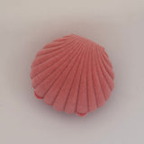 Seashell box