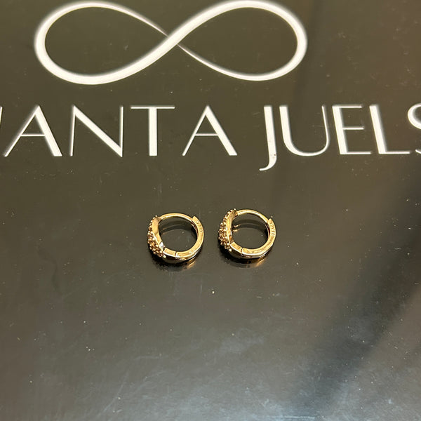 Leaf earrings