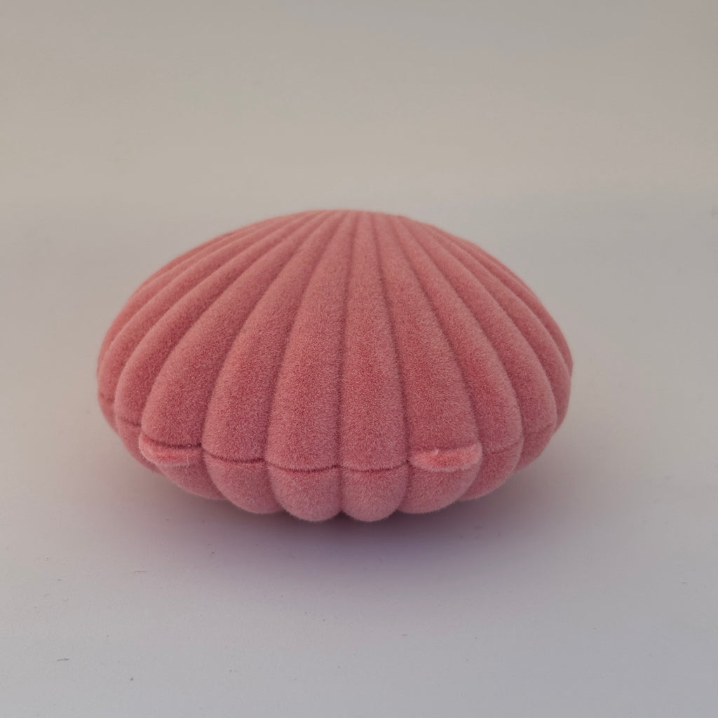 Seashell box