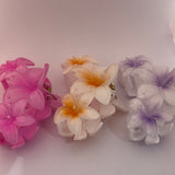 Flower claw clip (big)