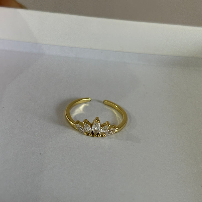 Crown ring 2.0