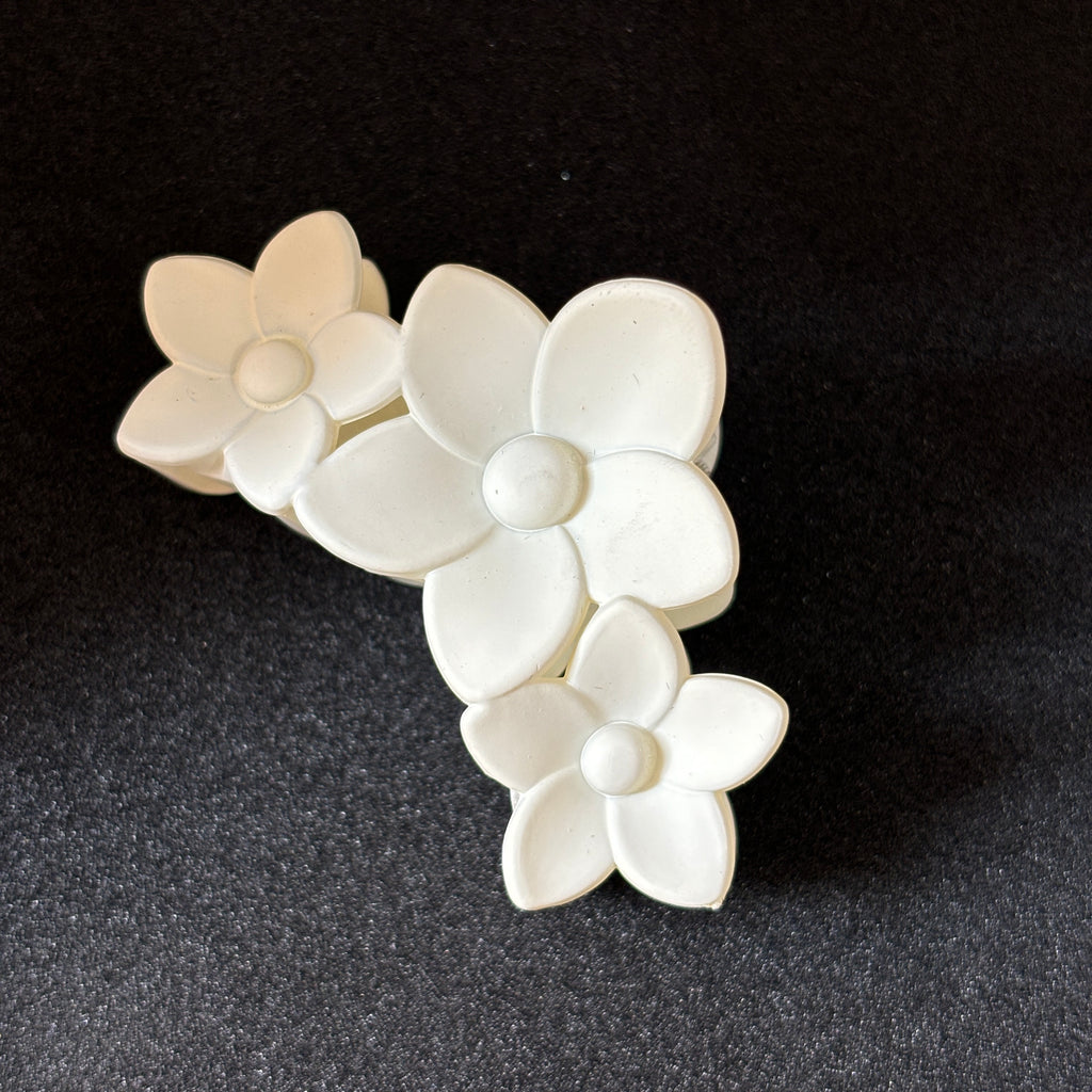 Claw clip (medium)