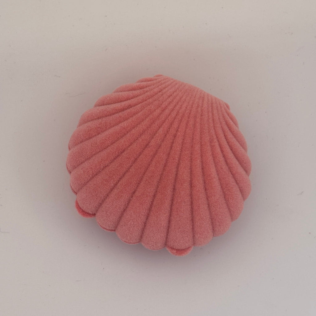 Seashell box