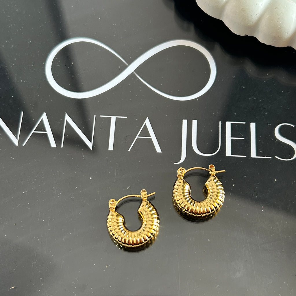 Mini Alexia hoops