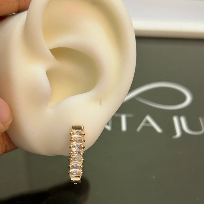 Ahana earrings (big)