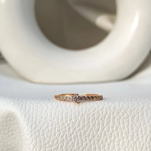 Aki ring