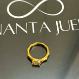 Anvi ring 2.0