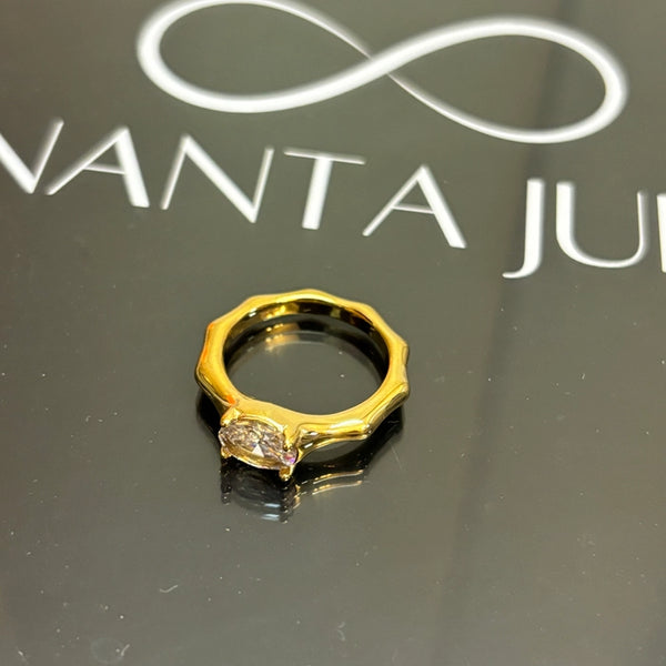 Anvi ring 2.0